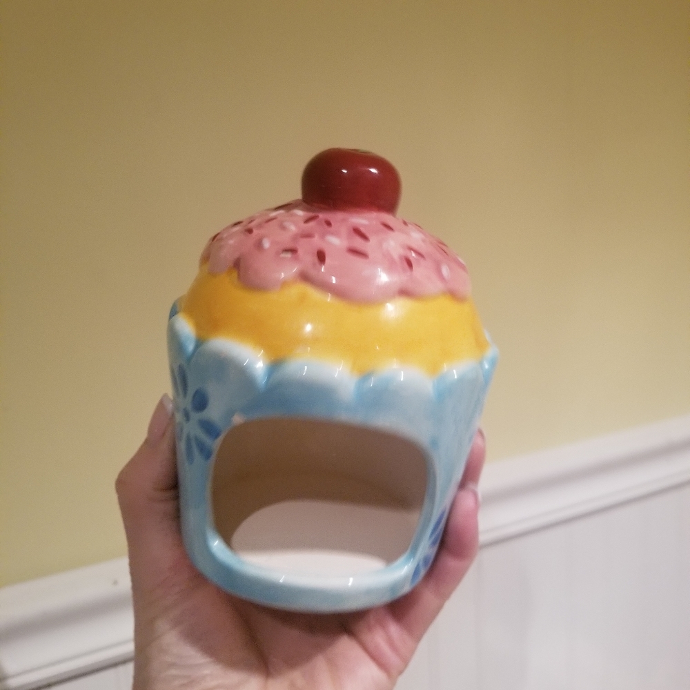 - Pier 1 Sponge Holder